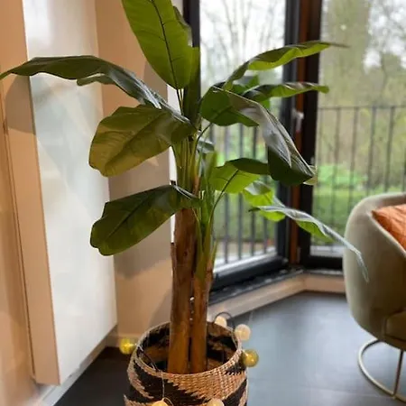 Apartament Chic, Luxe Loftstijl In