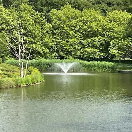 Chic, Luxe Loftstijl In דירה *