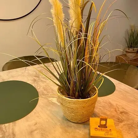 Chic, Luxe Loftstijl In *